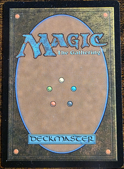 Mikey & Leo, Chaos & Order 0247 – Magic: The Gathering TMNT – Rare
