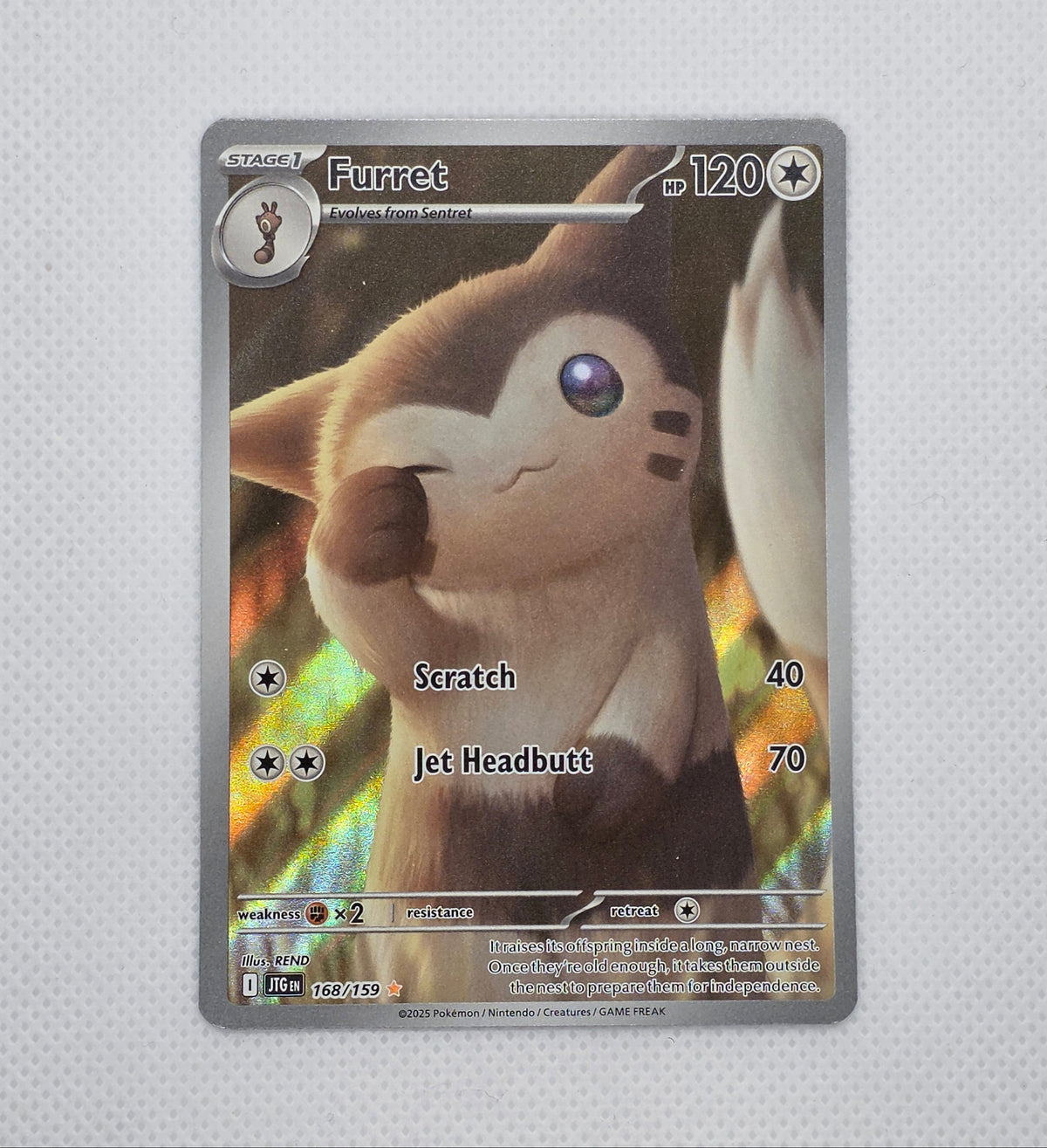 Furret 168/159 Illustration Rare Pokemon Journey Together JTG Holo NM